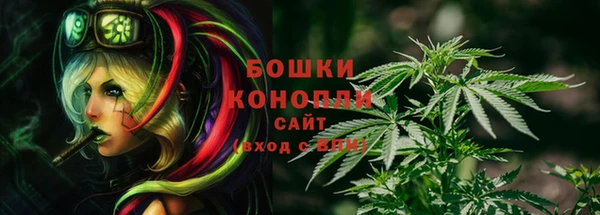 амф Мегион